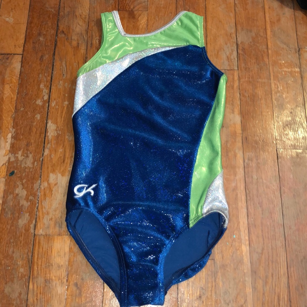 Blue green and silver go leotard